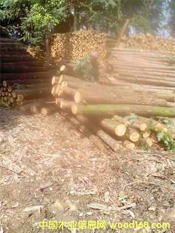 �c(di��n)���鿴ɼľ��l�Ŵ�DƬ