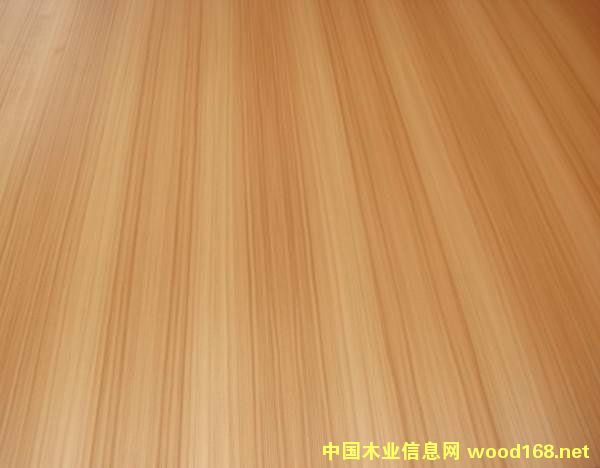 ���B(t��i)���Ԕ����B