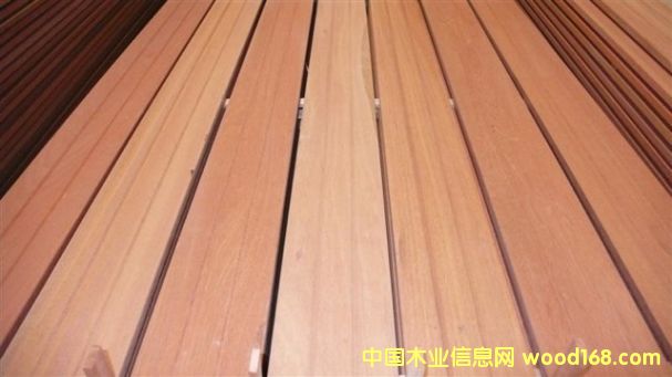 ɽ��ľ2��Ԕ��(x��)��B