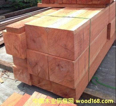 �t�̈́�ľ��Ԕ��(x��)��B