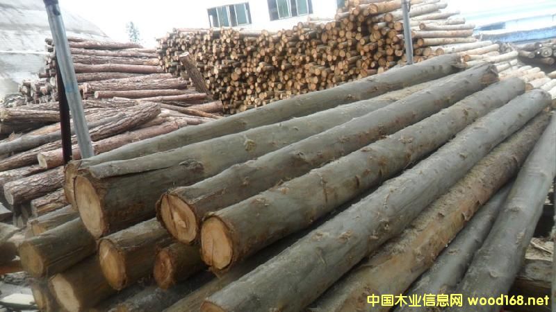 �sľ��Ԕ��(x��)��B