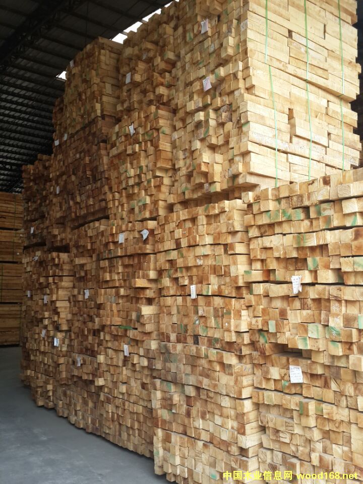 �d����ľ�I(y��)����(y��ng)�M�����zľ���l��Ԕ��(x��)��B