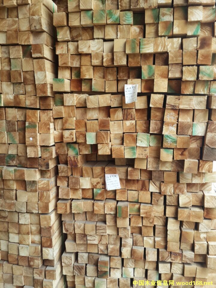 �d����ľ�I(y��)����(y��ng)��(y��u)�|(zh��)�M�����zľ���l��Ԕ��(x��)��B