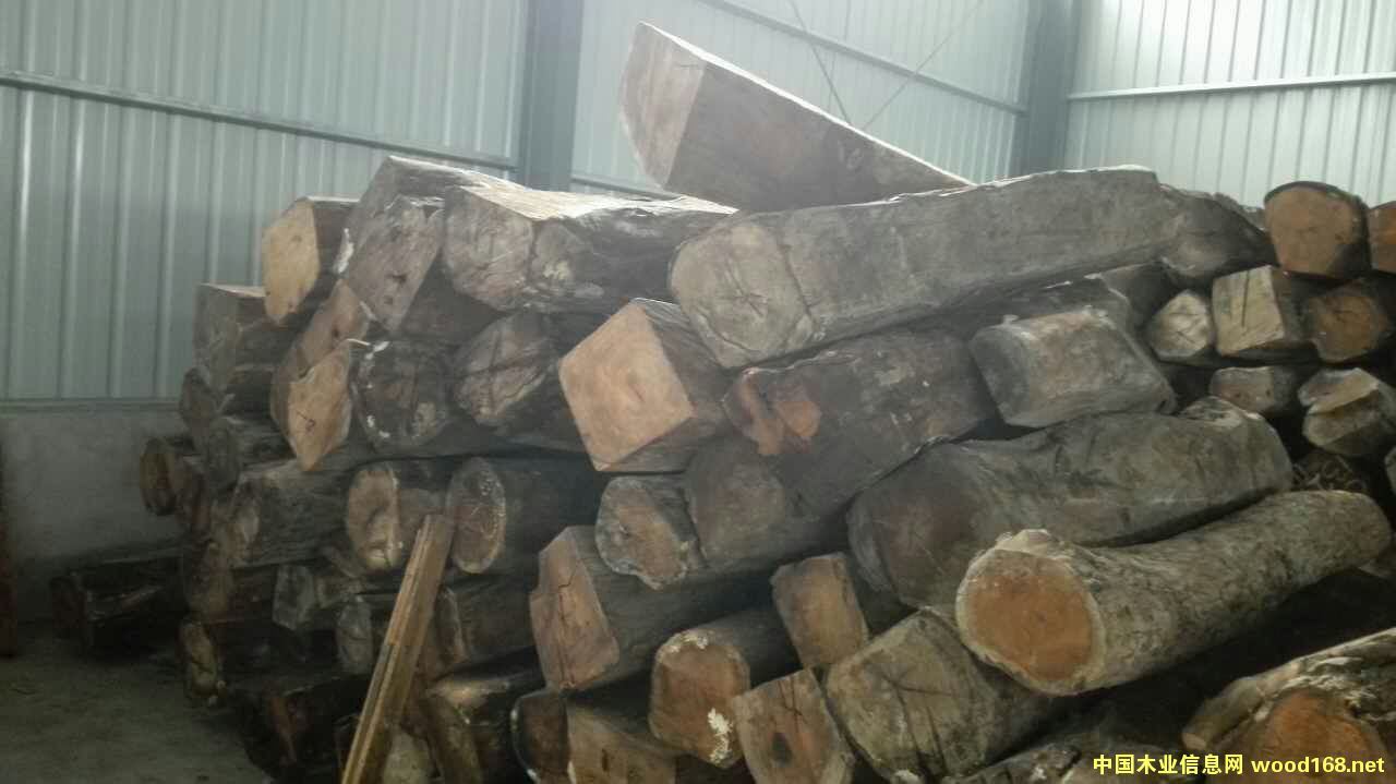 非洲花梨的詳細(xì)介紹