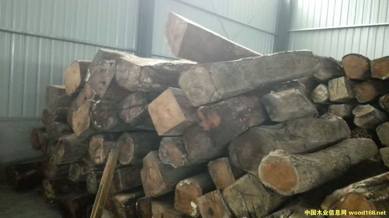 非洲花梨的詳細(xì)介紹