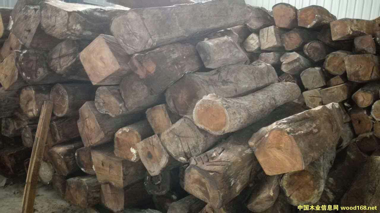 非洲花梨的詳細(xì)介紹