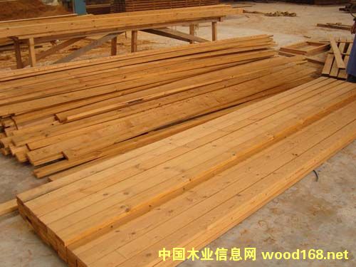 �c���鿴̿��ľ�Ŵ�DƬ