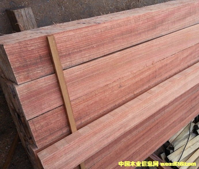 �c���鿴����ľ�Ŵ�DƬ