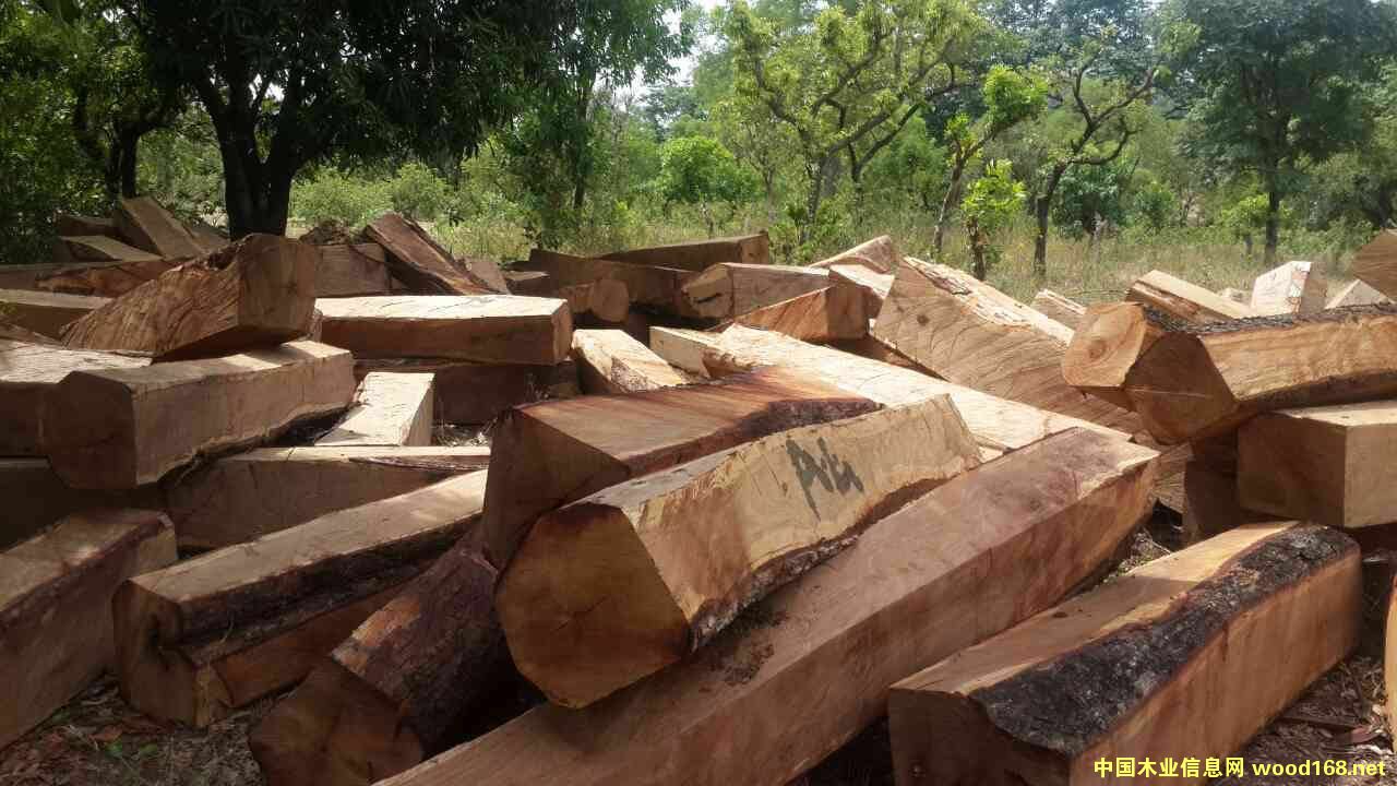 ���������������Ԕ��(x��)��B