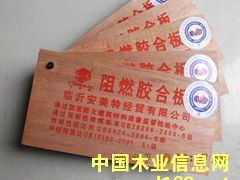 �c���鿴��ȼ�z�ϰ�Ŵ�DƬ