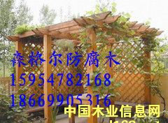 �c(di��n)���鿴�R�ʷ���ľ���ܷŴ�DƬ