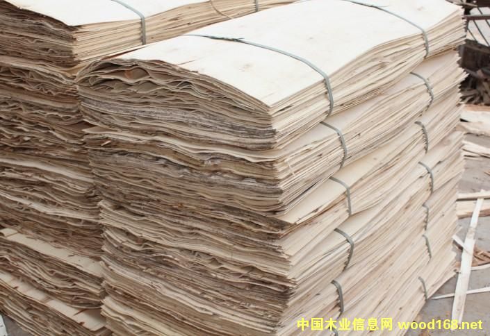 �c(di��n)���鿴��ľ�ΰ�Ŵ�DƬ