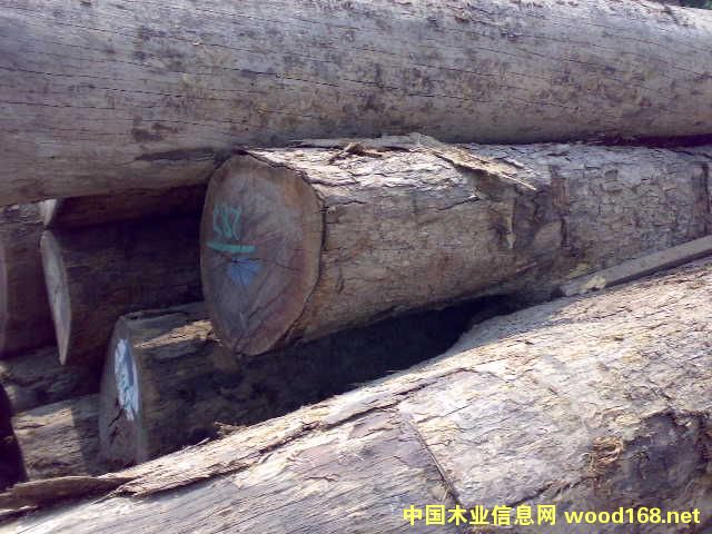 �c���鿴���~�t̴�Ŵ�DƬ