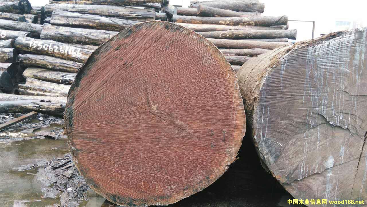 �����������ľ