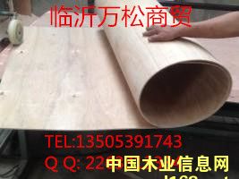 ������ɰ���Ԕ��(x��)��B