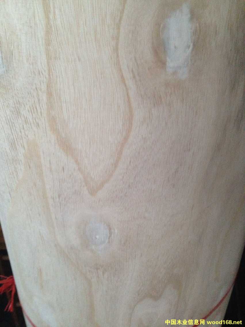 彎曲板的詳細(xì)介紹