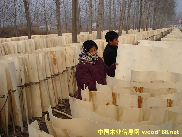 �S�h��Ƥ(li��n)ϵ��Ԕ��(x��)��B