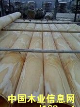 ݗ������Ƥ