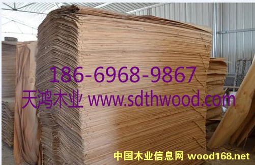 ݗ���ɊA��Ƥ��Ԕ��(x��)��B