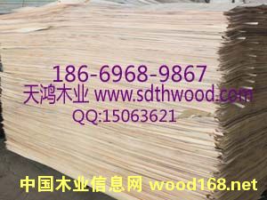 ��ľ����Ƥ��Ԕ��(x��)��B