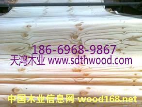 ݗ������Ƥ�؃r