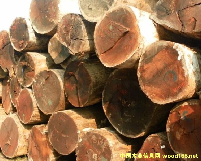 ���}��ԭľ