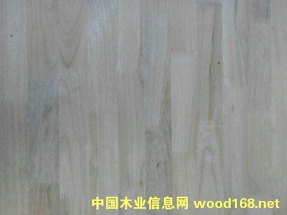 �c���鿴����ľָ�Ӱ�Ŵ�DƬ