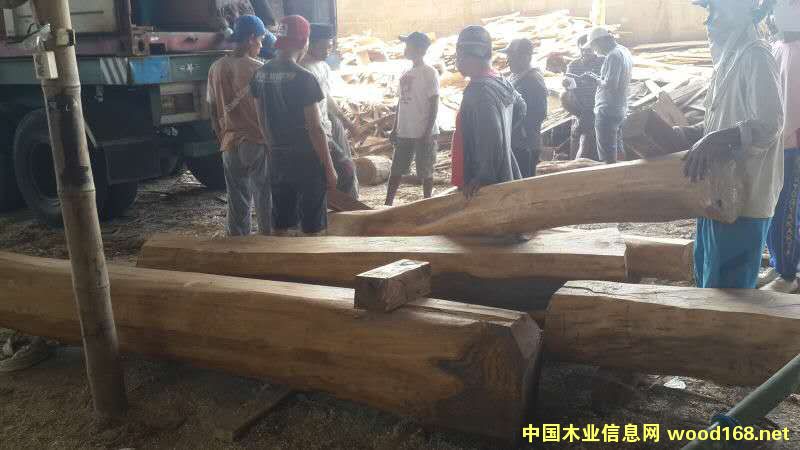 �c(di��n)���鿴����֦1�Ŵ�DƬ