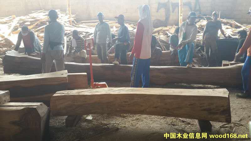 �c(di��n)���鿴����֦�Ŵ�DƬ