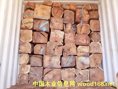 ���ށ�����