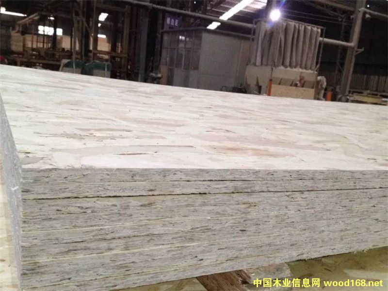 OSB������18mm