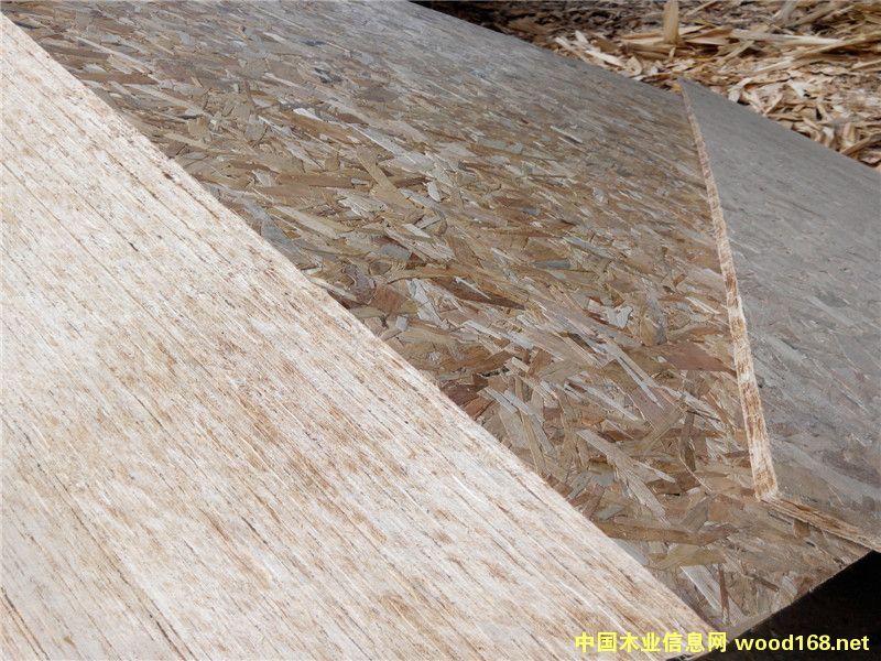 12mmľ�ݹ����ÚW�ɰ�