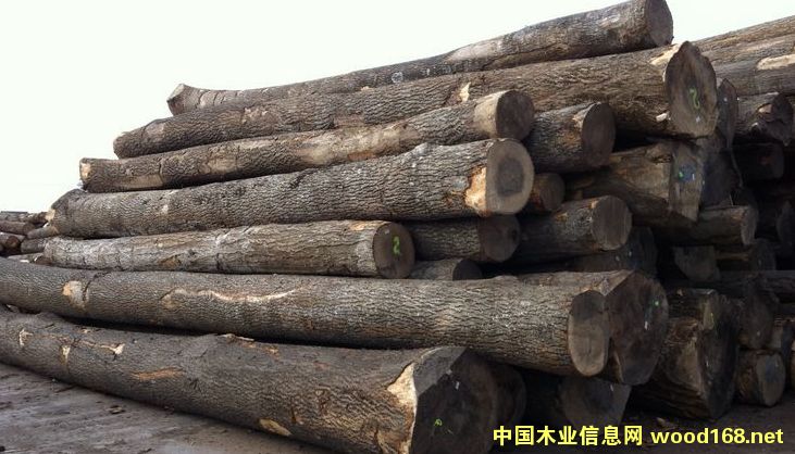 ˮ����ԭľ ���NҎ(gu��)���Rȫ