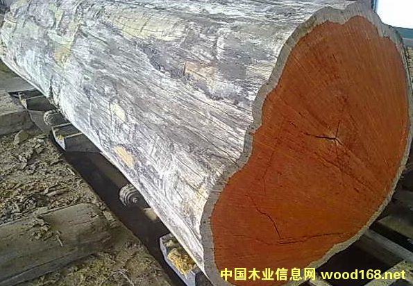 ���l(f��)ӡ�Ფ�}��ԭľ