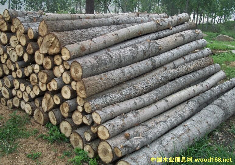 ��ľԭľ���NҎ(gu��)���Rȫ