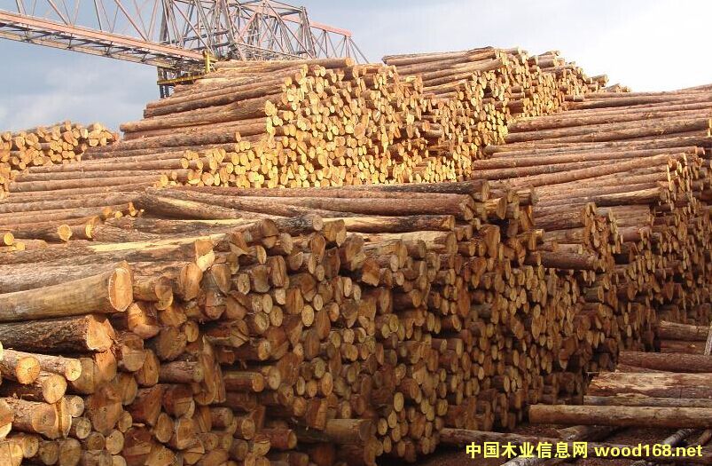 ���l(f��)��(gu��)��(n��i)��ͩľԭľ