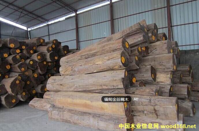 �����z�ľԭľ