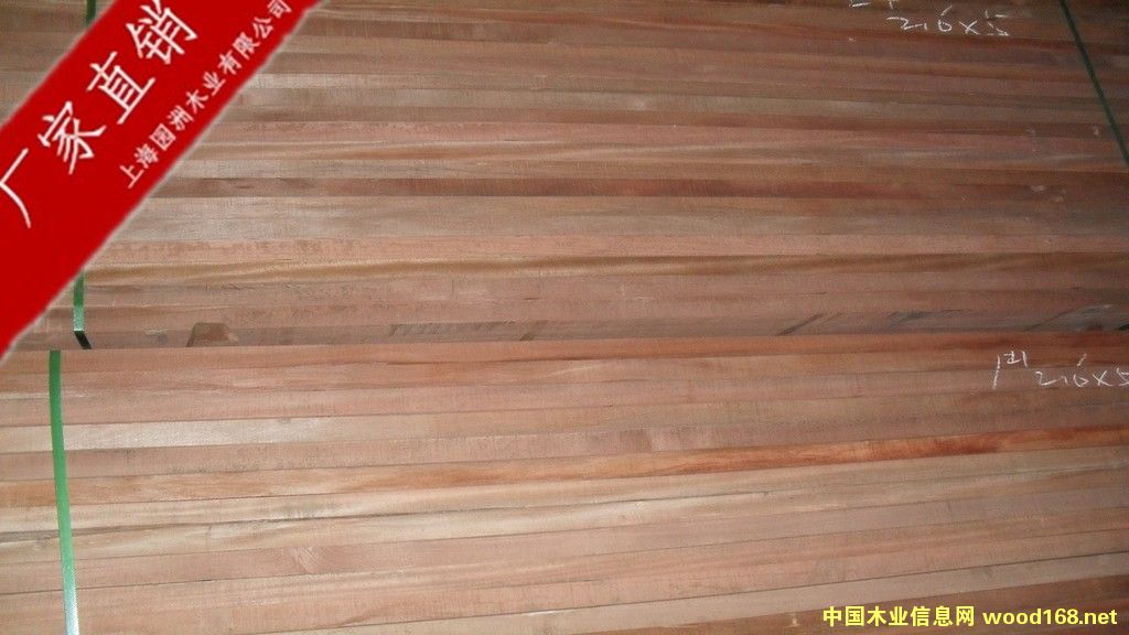 ɽ��ľ��Ԕ����B