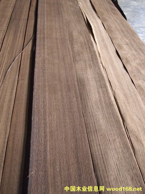 ��Ѭ�t���Ԕ��(x��)��B