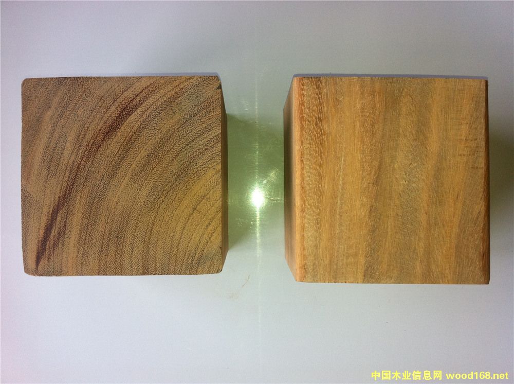 ���޲��}������Ȼ����ľ