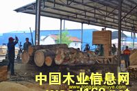 �����ɡ�ݗ����ľ����Ԕ��(x��)��B