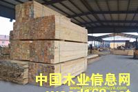 ���~��������ľ����Ԕ��(x��)��B