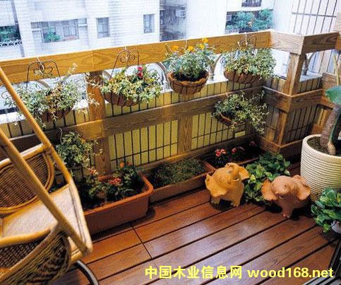 �c���鿴̼��ľ�ذ�Ŵ�DƬ