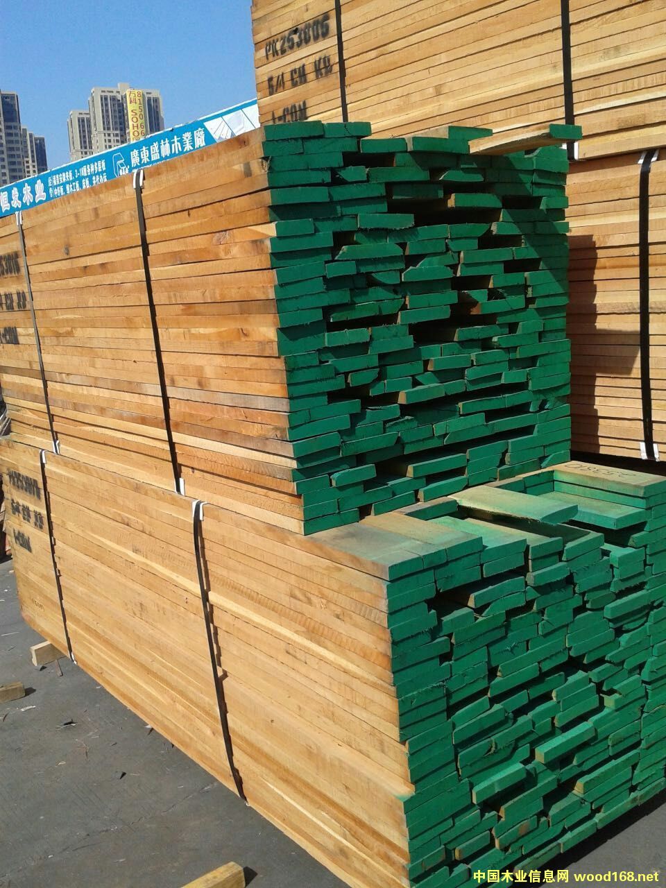 美國櫻桃的詳細介紹