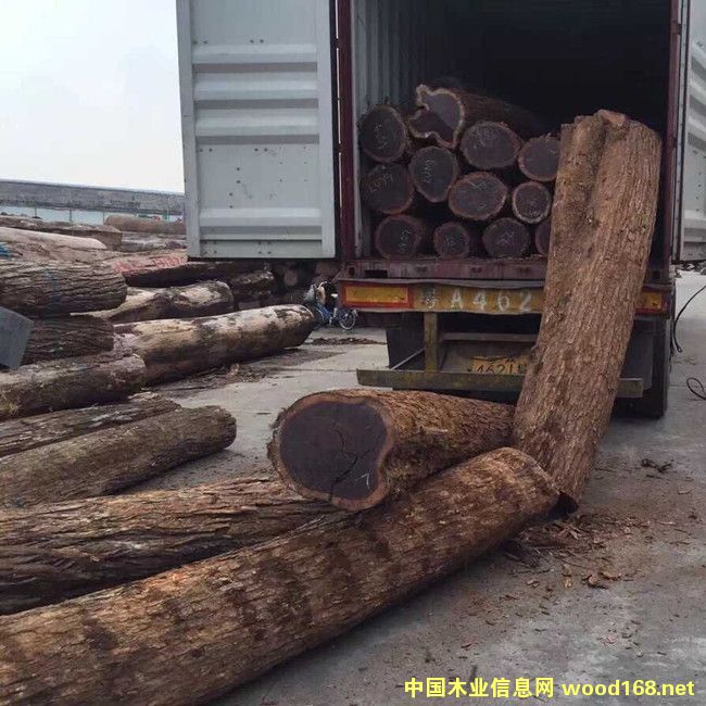 �c(di��n)���鿴�׃��2�Ŵ�DƬ