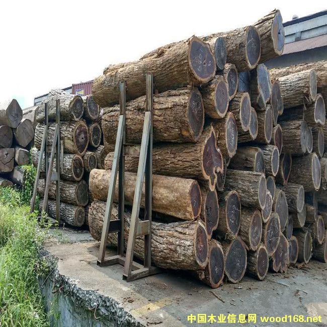 �c(di��n)���鿴�׃���Ŵ�DƬ