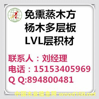 �c���鿴��Ѭ��ľ��LVL�Ŵ�DƬ