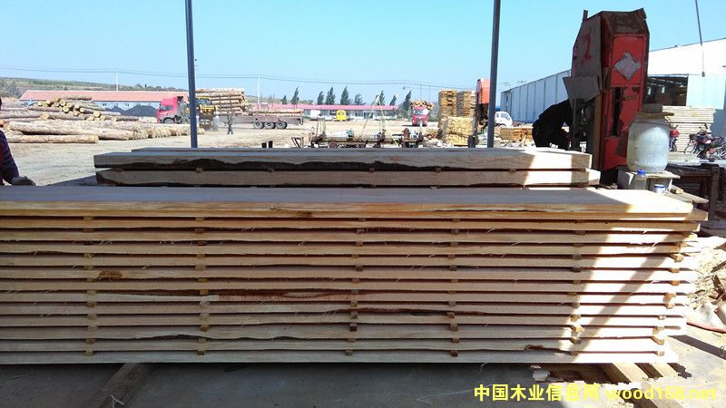 0��Ԕ��(x��)��B