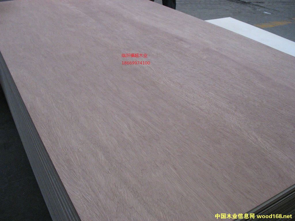 �c(di��n)���鿴���ǹ� �z�ϰ� 18mm�Ŵ�DƬ