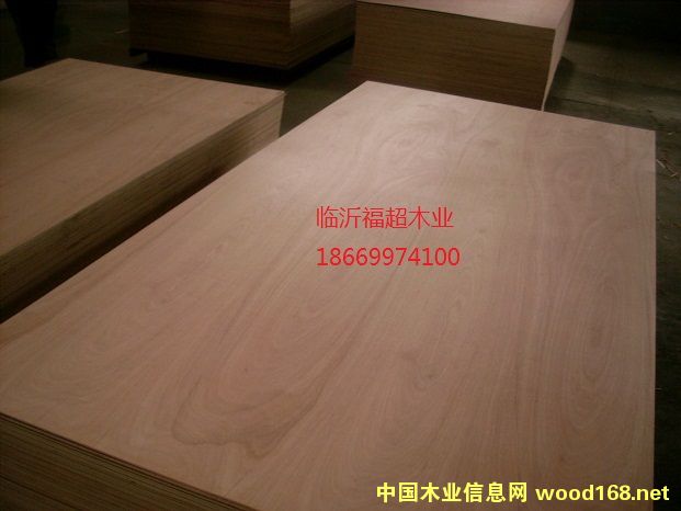 �c(di��n)���鿴�U�P�� �z�ϰ� 12mm �����ň@�Ŵ�DƬ